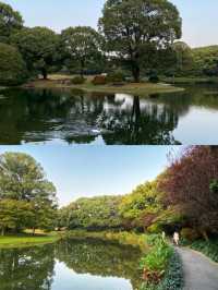 2020年7月上海東郊賓館。。。