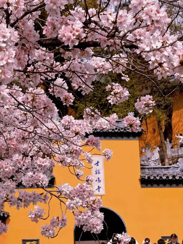 초보자를 위한 가이드, 한 명이라도 도움이 될 수 있다면