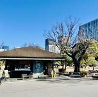 打卡東京皇居-楠木正成像