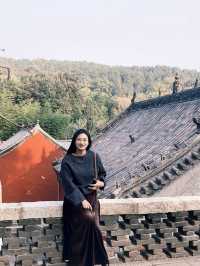 無數人追問的拍照聖地｜普照寺