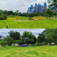 絕美拍照聖地，隨手一拍都是大片！🌸