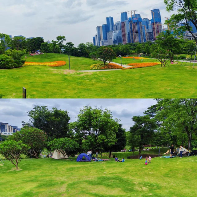 絕美拍照聖地，隨手一拍都是大片！🌸