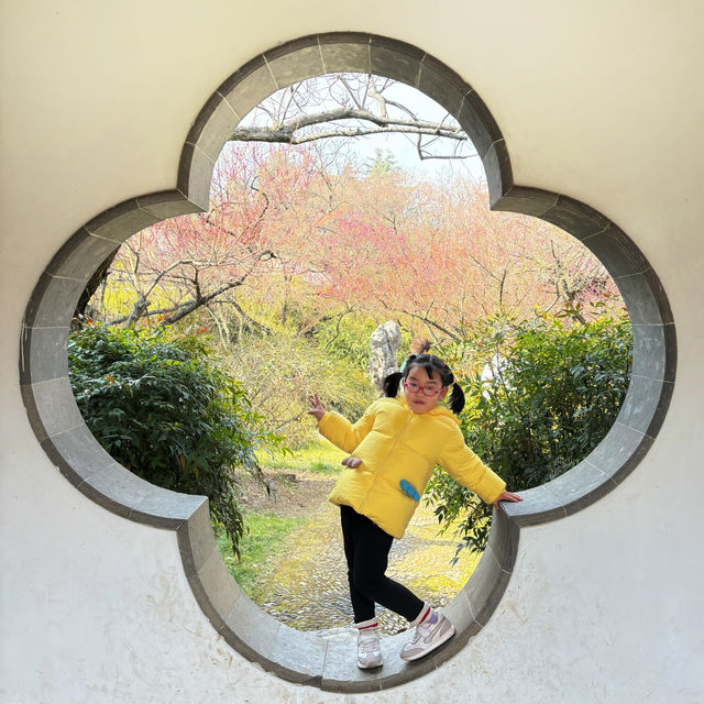 南京｜春和景明時可以做的那些美好小事