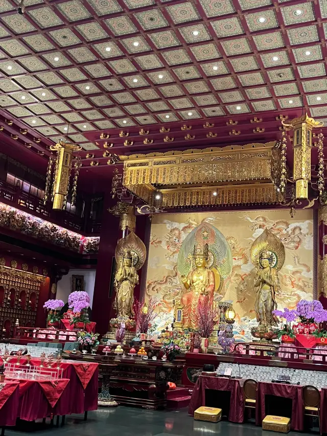 스리랑카 8일 여행 무비자 팁