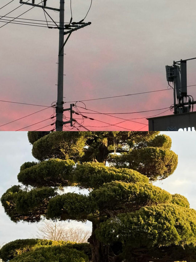益山市｜韓國小眾寶藏旅行地