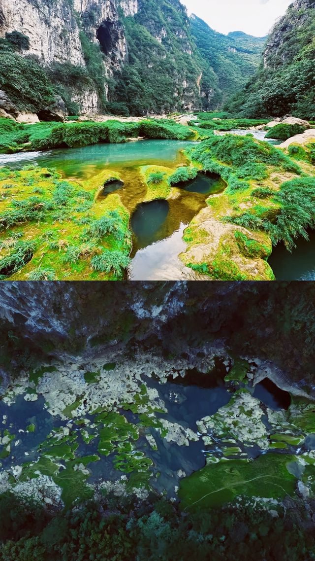 「地球最美疤痕」