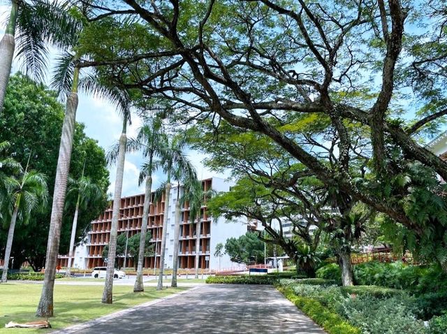 南洋理工大學
