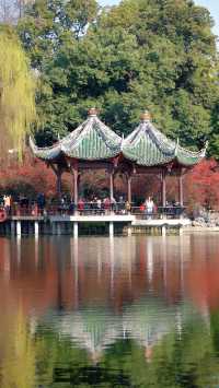 2.25實拍！成都棠湖公園海棠花絕美！