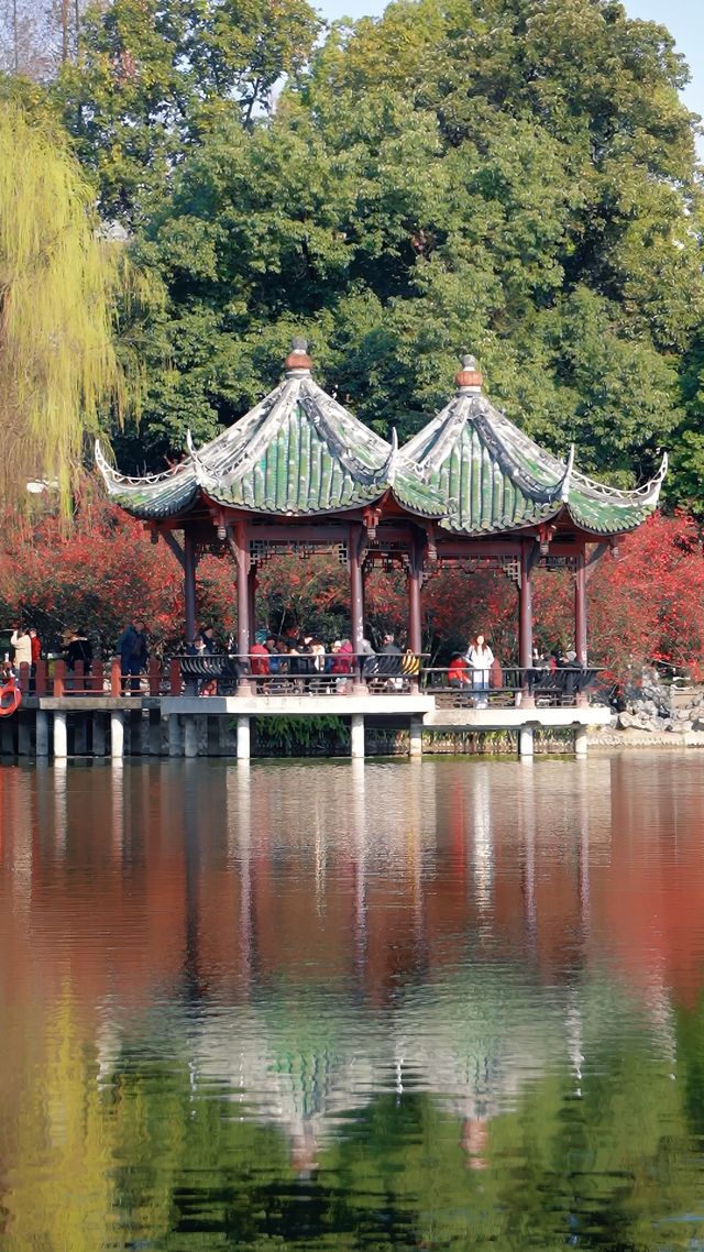 2.25實拍！成都棠湖公園海棠花絕美！