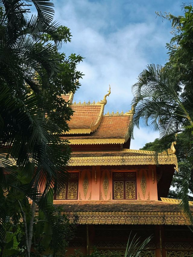 雲南西雙版納-普洱6日深度遊 玩法大揭秘