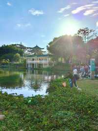 深圳最適合帶小朋友捉魚釣魚的公園