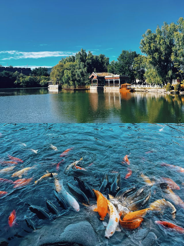 北京後花園——秦皇島