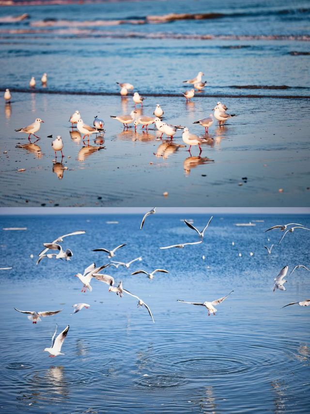 秦皇島等地9日遊 省心攻略大揭秘玩轉不停歇