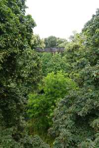 Exploring the Treetop Walkway at Kew Gardens