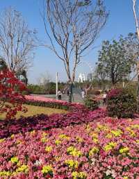 淡季城市輕旅行 | 前海石公園Citywalk全攻略 ——解鎖深圳西岸的橘子海與摩天輪浪漫 