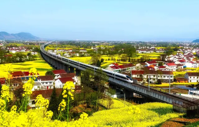 Encounter the Fusion of Ancient Charm and Vitality - Two-Day Tour in Shaanxi (Part 2)