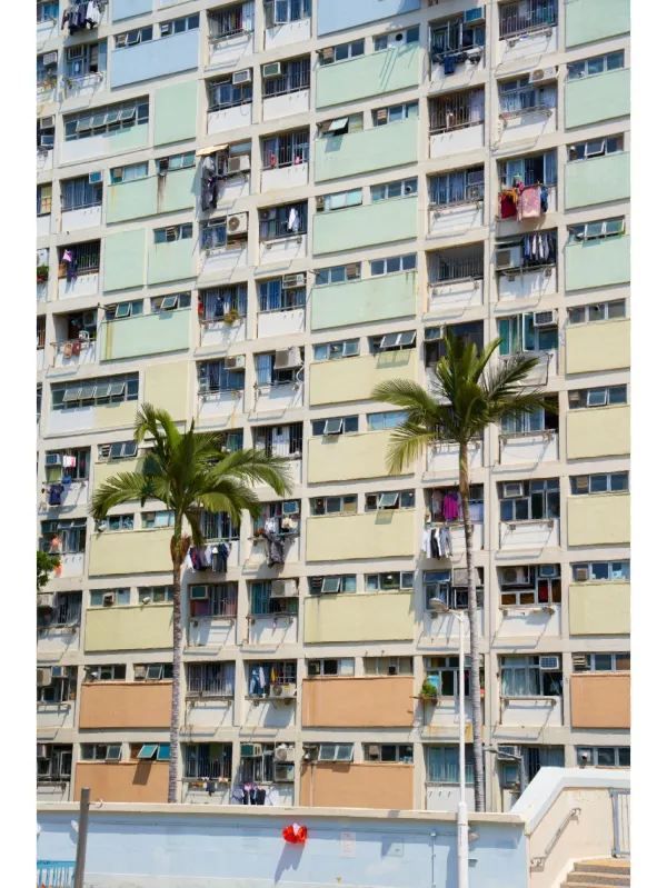 香港彩虹邨:鋼筋混凝土中的那道彩虹🌈 香港彩虹邨:鋼筋混凝土中的那道彩虹🌈