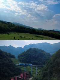 探索貴州六盤水玉舍森林公園，邂逅自然之美！