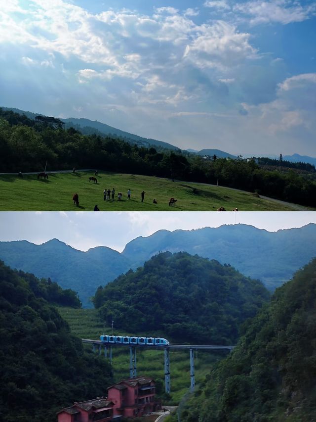 探索貴州六盤水玉舍森林公園，邂逅自然之美！