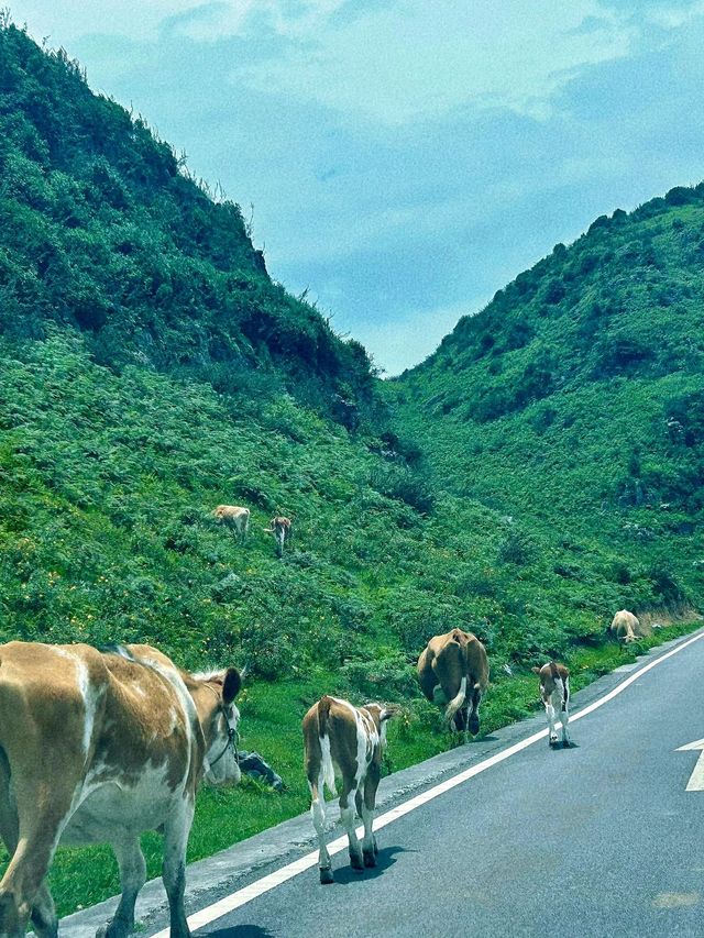 呼倫貝爾6日遊 小長假暢玩攻略