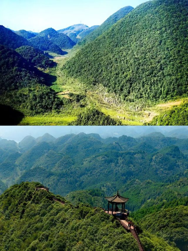 探索貴州六盤水梅花山，美不勝收！