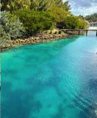 拿騷下船，展開 Blue Lagoon Island 的小眾海島奇遇