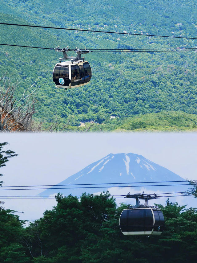 箱根神社一日遊•富士山下的心靈驛站