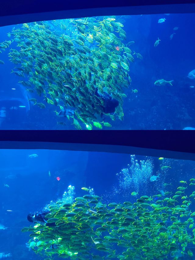 青島-威海-煙台5日遊｜超詳細保姆級攻略快收藏