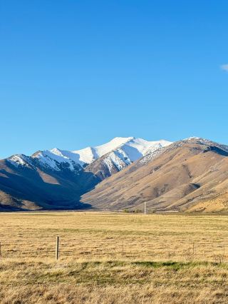 清明踏春新西蘭保姆級攻略來襲