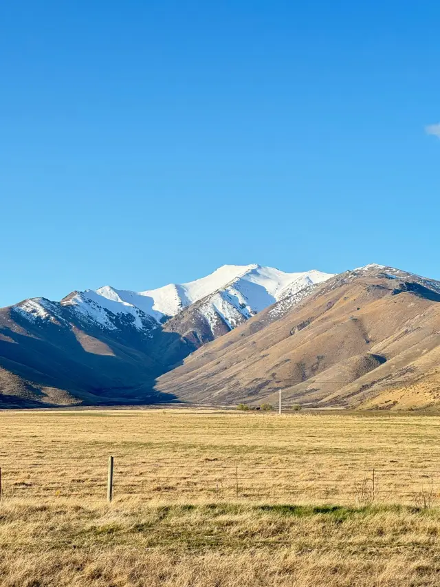A Nanny-Level Guide to New Zealand's Spring Outing During Qingming Festival