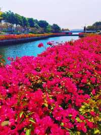 探索後海中心河公園，感受城市中的生態靜謐