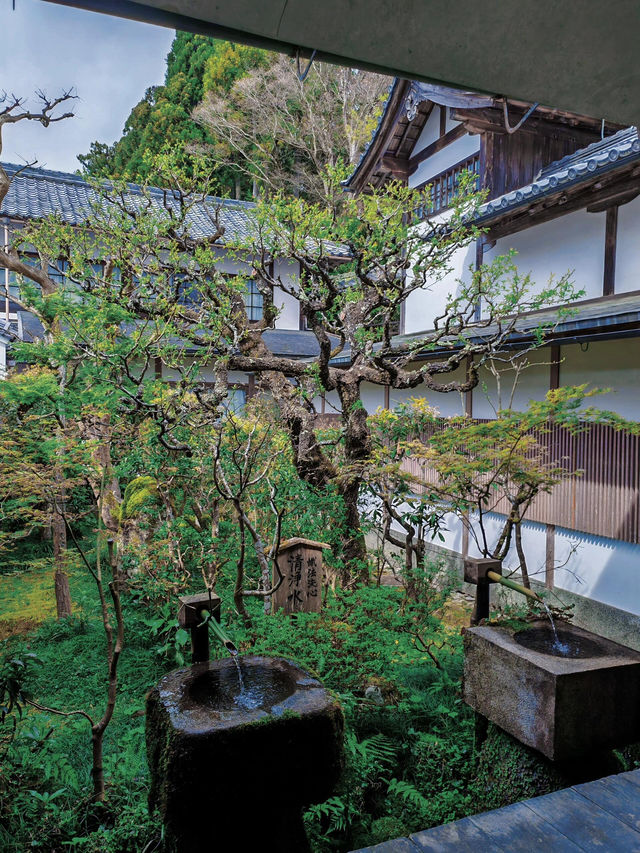 京都深度遊|直接棄清水寺！三千院才是yyds
