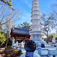 韓國釜山必去！海東龍宮寺交通全攻略🚍