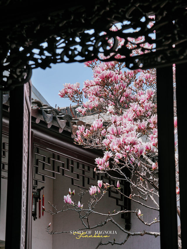 Experience the Enchanting Spring in Suzhou