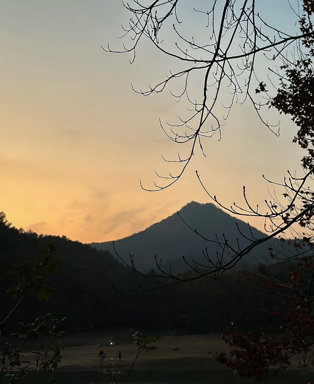 打工仔週末Staycation·隱藏在竹海裡的民宿