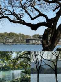 HangZhou｜杭州|||愛上這座城市帶給我的寧靜