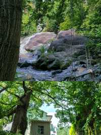 山前山後都是風景，有風無風都很自由——馬嶺古道