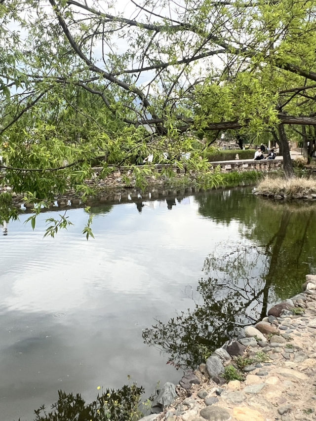 Quick Stop at Shaxi Village
