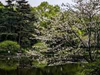 杭州植物園遊記