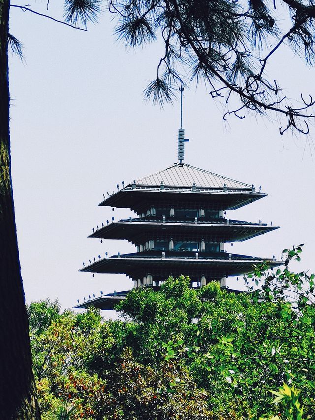 東來閣打卡！親身體驗賽博古風款的九層妖塔