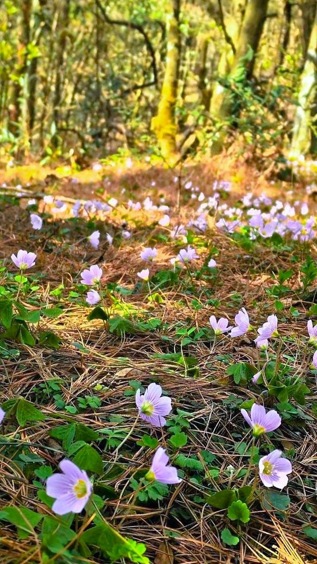 沙塵暴那天    我躲進了豐都夾壁山