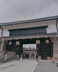 在二條城時空漫遊，解鎖將軍的春日度假庭園
