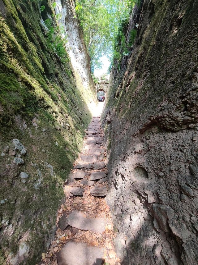 武夷山：丹霞碧水間的千年茶禪秘境