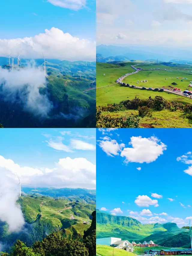 May Day Limited Offer | Nanny-Level Guide to Wumeng Grassland