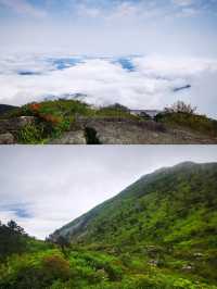 探秘福建金饶山：隱藏在大山深處的絕美風光