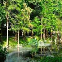 綠野仙蹤｜越秀公園💚藏於廣州鬧市的絕美抹茶小森林🌳