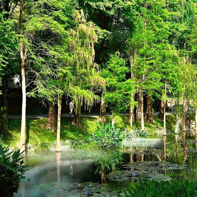 綠野仙蹤｜越秀公園💚藏於廣州鬧市的絕美抹茶小森林🌳