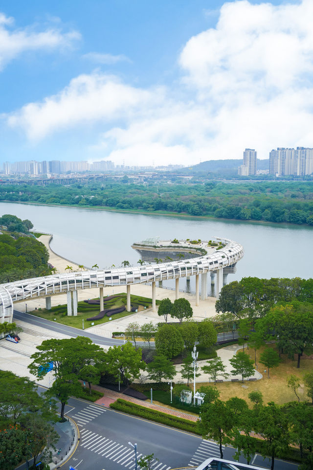 五一順德遊｜江畔觀星摩天輪，48小時慢遊舌尖地