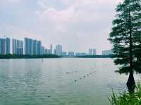 廣東省佛山市順德著名公園：順峰山公園，適合觀光旅遊、度假休閒等！