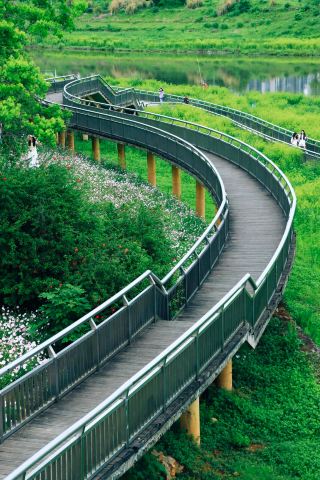 Nanchang Outing: Malanxu Wetland Park – Entering a Real-Life "Monet's Garden"